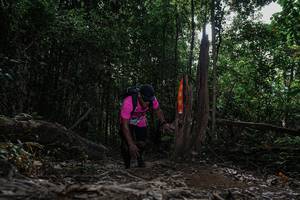 BIB: 
                            <button type="button" onclick="openModal(25808252)" class="btn btn-primary btn-sm float-right btn-popup" data-toggle="modal" data-target=".modal-high-quality">
                        <i class="fas fa-shopping-cart"></i> Add to Cart
                    </button>
                                            <button type="button" onclick="isThisMe(25808252, true)" class="btn btn-success btn-sm float-right btn-popup btn-isme hidden" data-toggle="tooltip" data-placement="bottom" title="นี่คือรูปของคุณใช่ไหม คลิกที่นี่เพื่อเอาเข้าอัลบั้ม">
                        <i class="fas fa-plus"></i> Add to album
                    </button>
                    <button type="button" onclick="isThisMe(25808252, false)" class="btn btn-warning btn-sm float-right btn-popup btn-isnotme hidden">
                        <i class="fas fa-ban"></i> Remove from album
                    </button>